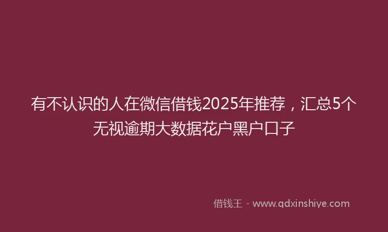 有不认识的人在微信借钱2025年推荐，汇总5个无视逾期大数据花户黑户口子