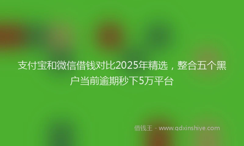 支付宝和微信借钱对比2025年精选，整合五个黑户当前逾期秒下5万平台