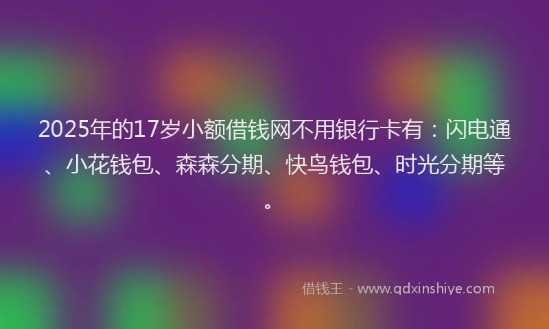 2025年的17岁小额借钱网不用银行卡有：闪电通、小花钱包、森森分期、快鸟钱包、时光分期等。