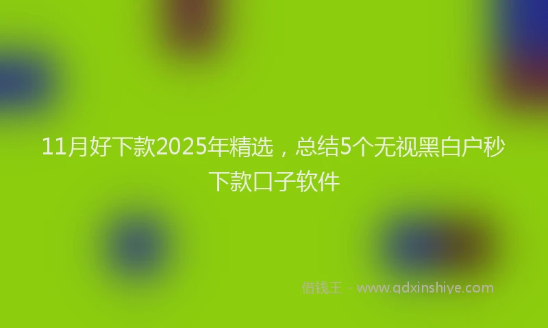 11月好下款2025年精选，总结5个无视黑白户秒下款口子软件