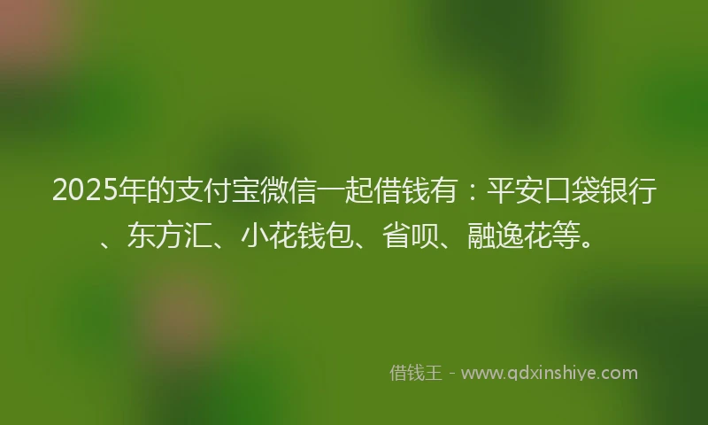 2025年的支付宝微信一起借钱有：平安口袋银行、东方汇、小花钱包、省呗、融逸花等。