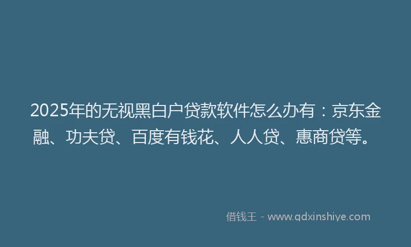 2025年的无视黑白户贷款软件怎么办有：京东金融、功夫贷、百度有钱花、人人贷、惠商贷等。