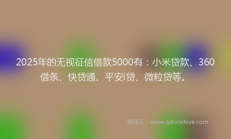 2025年的无视征信借款5000有：小米贷款、360借条、快贷通、平安i贷、微粒贷等。
