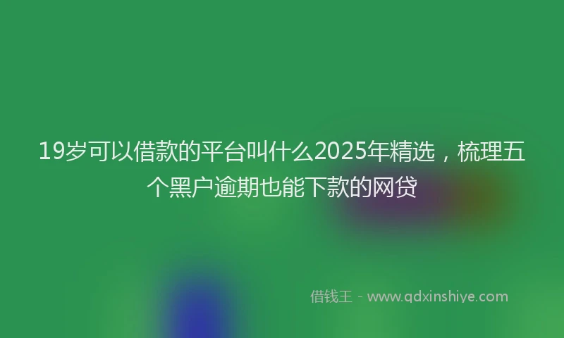 19岁可以借款的平台叫什么2025年精选，梳理五个黑户逾期也能下款的网贷
