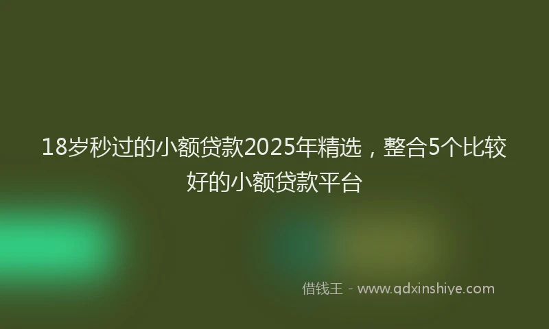 18岁秒过的小额贷款2025年精选，整合5个比较好的小额贷款平台