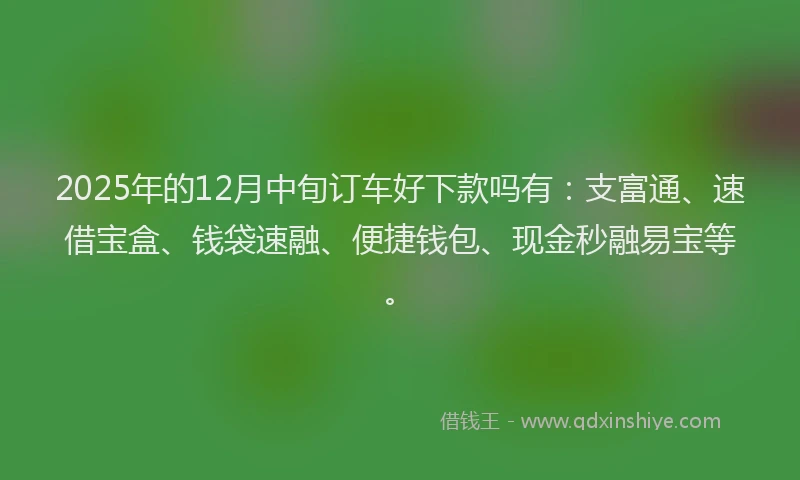 2025年的12月中旬订车好下款吗有：支富通、速借宝盒、钱袋速融、便捷钱包、现金秒融易宝等。