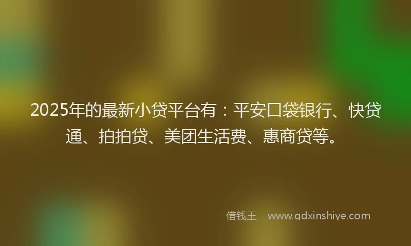2025年的最新小贷平台有：平安口袋银行、快贷通、拍拍贷、美团生活费、惠商贷等。