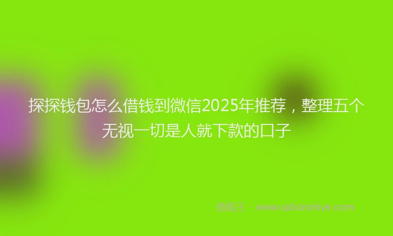 探探钱包怎么借钱到微信2025年推荐，整理五个无视一切是人就下款的口子