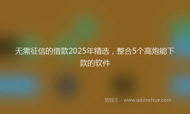无需征信的借款2025年精选，整合5个高炮能下款的软件