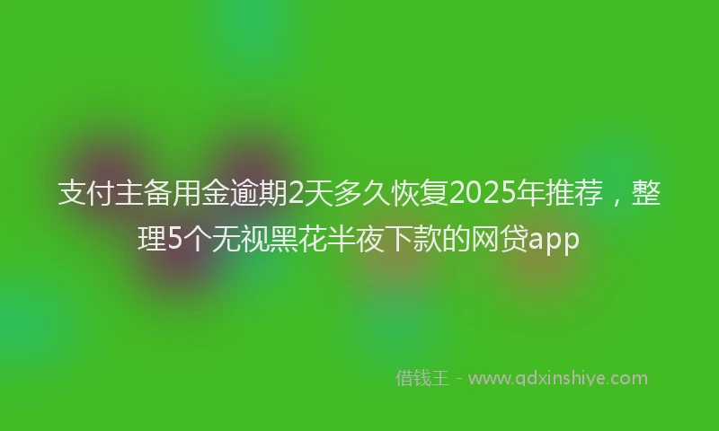 支付主备用金逾期2天多久恢复2025年推荐，整理5个无视黑花半夜下款的网贷app