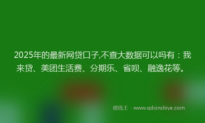 2025年的最新网贷口子,不查大数据可以吗有：我来贷、美团生活费、分期乐、省呗、融逸花等。