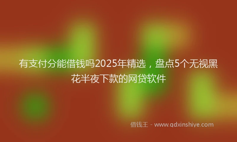 有支付分能借钱吗2025年精选，盘点5个无视黑花半夜下款的网贷软件