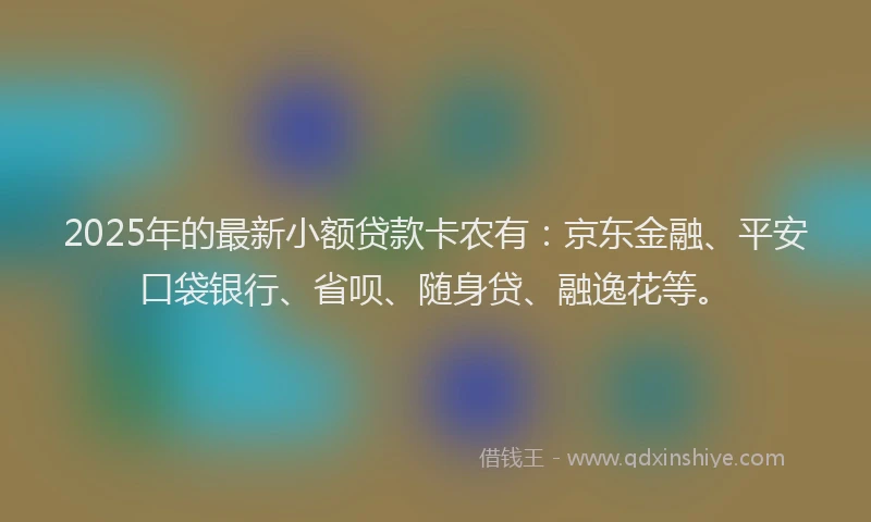 2025年的最新小额贷款卡农有：京东金融、平安口袋银行、省呗、随身贷、融逸花等。