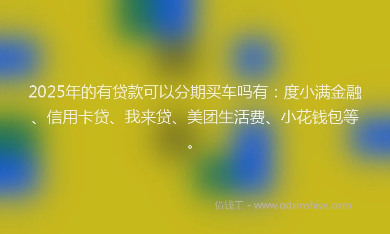 2025年的有贷款可以分期买车吗有：度小满金融、信用卡贷、我来贷、美团生活费、小花钱包等。