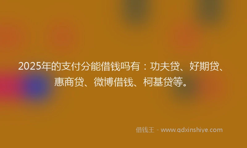 2025年的支付分能借钱吗有：功夫贷、好期贷、惠商贷、微博借钱、柯基贷等。