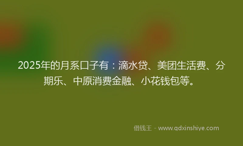 2025年的月系口子有：滴水贷、美团生活费、分期乐、中原消费金融、小花钱包等。