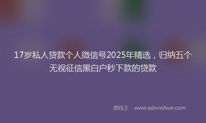17岁私人贷款个人微信号2025年精选，归纳五个无视征信黑白户秒下款的贷款