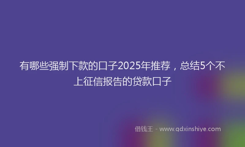 有哪些强制下款的口子2025年推荐，总结5个不上征信报告的贷款口子