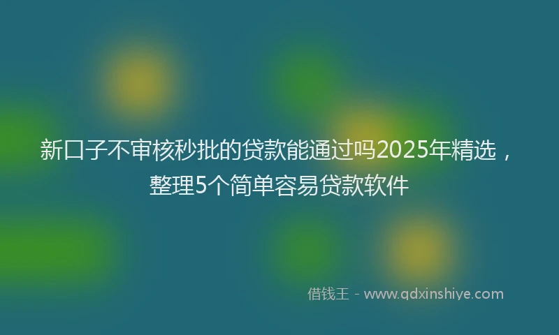 新口子不审核秒批的贷款能通过吗2025年精选，整理5个简单容易贷款软件