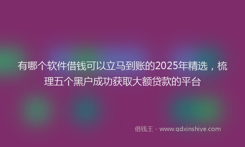 有哪个软件借钱可以立马到账的2025年精选，梳理五个黑户成功获取大额贷款的平台