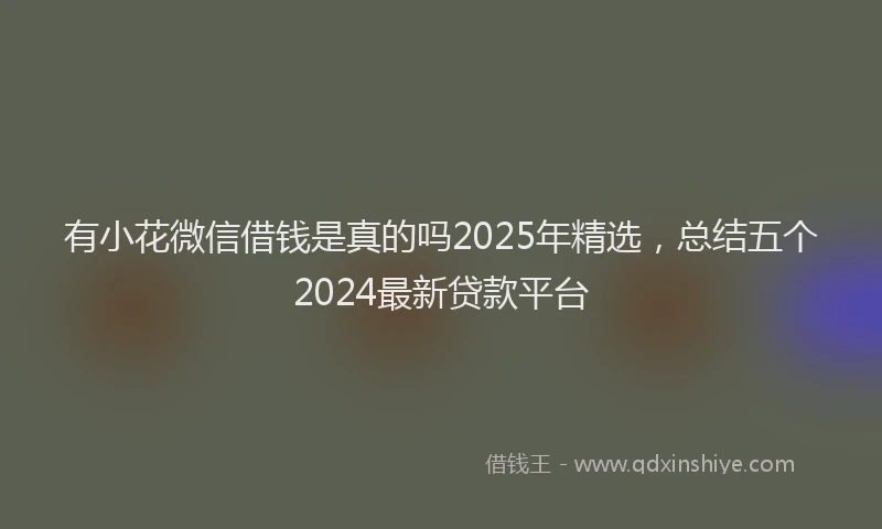 有小花微信借钱是真的吗2025年精选，总结五个2024最新贷款平台