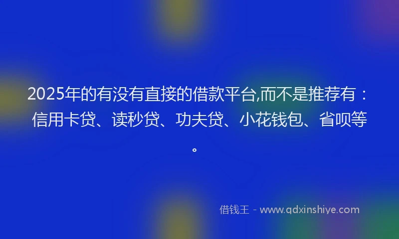 2025年的有没有直接的借款平台,而不是推荐有：信用卡贷、读秒贷、功夫贷、小花钱包、省呗等。