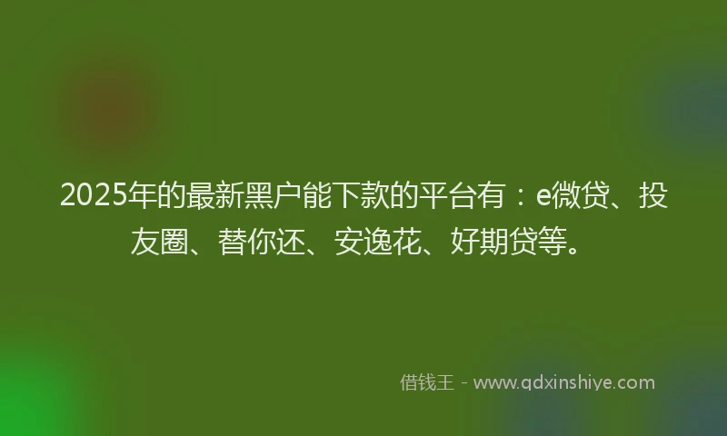 2025年的最新黑户能下款的平台有：e微贷、投友圈、替你还、安逸花、好期贷等。