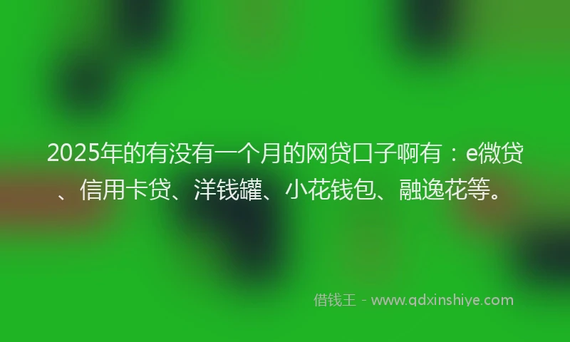 2025年的有没有一个月的网贷口子啊有：e微贷、信用卡贷、洋钱罐、小花钱包、融逸花等。