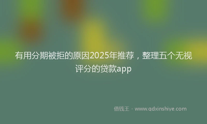 有用分期被拒的原因2025年推荐，整理五个无视评分的贷款app