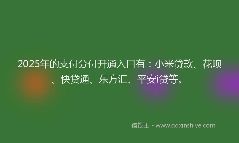 2025年的支付分付开通入口有：小米贷款、花呗、快贷通、东方汇、平安i贷等。