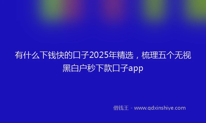 有什么下钱快的口子2025年精选，梳理五个无视黑白户秒下款口子app