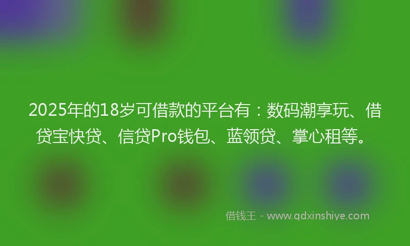 2025年的18岁可借款的平台有：数码潮享玩、借贷宝快贷、信贷Pro钱包、蓝领贷、掌心租等。