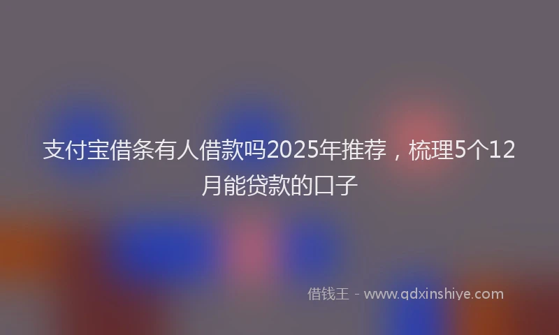 支付宝借条有人借款吗2025年推荐，梳理5个12月能贷款的口子