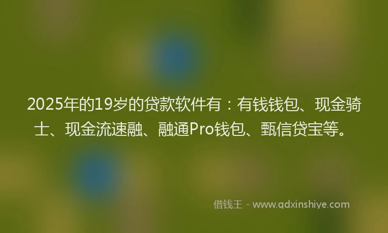 2025年的19岁的贷款软件有：有钱钱包、现金骑士、现金流速融、融通Pro钱包、甄信贷宝等。