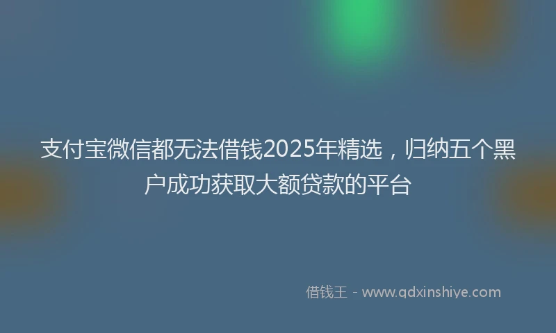 支付宝微信都无法借钱2025年精选，归纳五个黑户成功获取大额贷款的平台