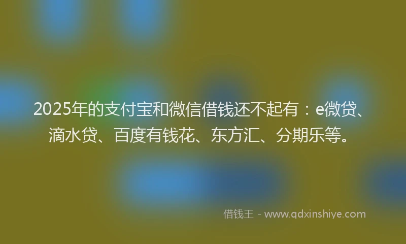 2025年的支付宝和微信借钱还不起有：e微贷、滴水贷、百度有钱花、东方汇、分期乐等。