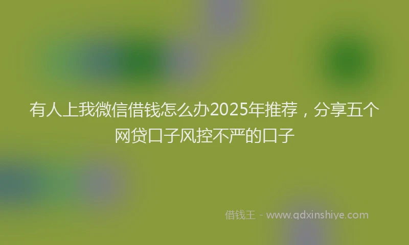 有人上我微信借钱怎么办2025年推荐，分享五个网贷口子风控不严的口子