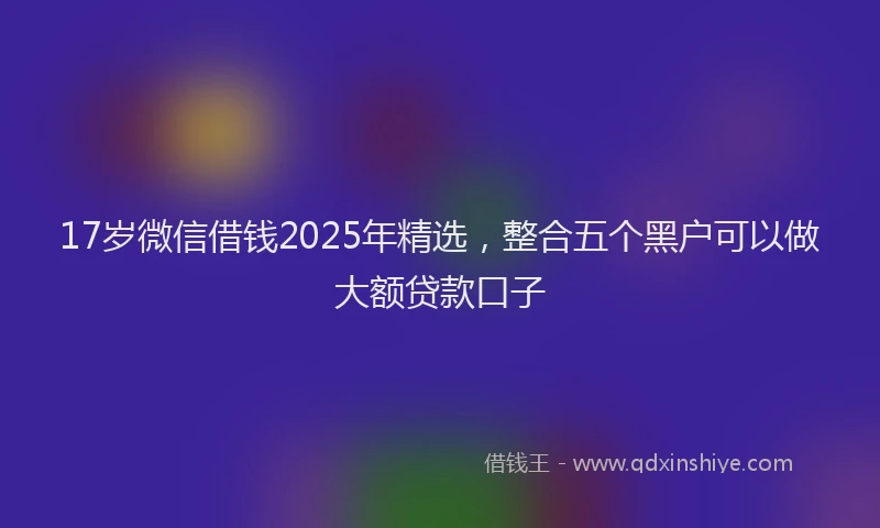 17岁微信借钱2025年精选，整合五个黑户可以做大额贷款口子