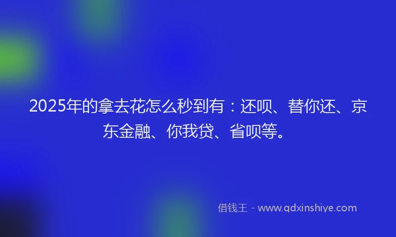 2025年的拿去花怎么秒到有：还呗、替你还、京东金融、你我贷、省呗等。