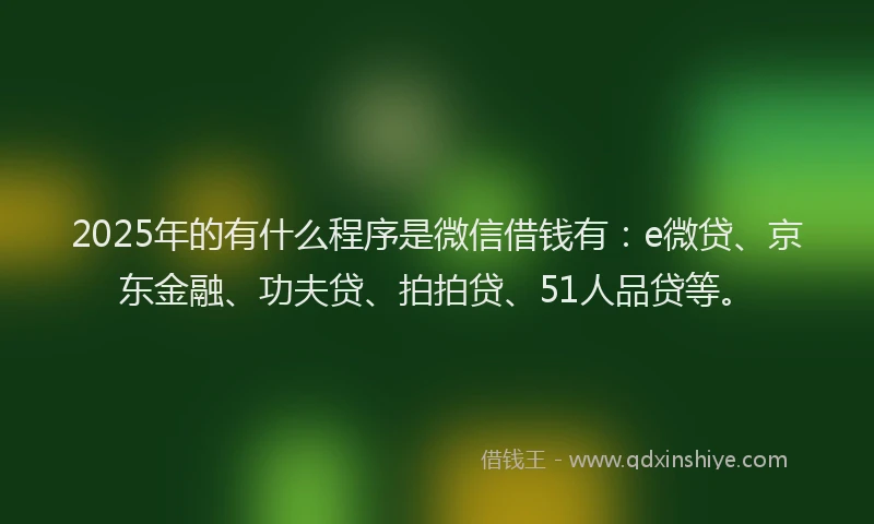 2025年的有什么程序是微信借钱有：e微贷、京东金融、功夫贷、拍拍贷、51人品贷等。