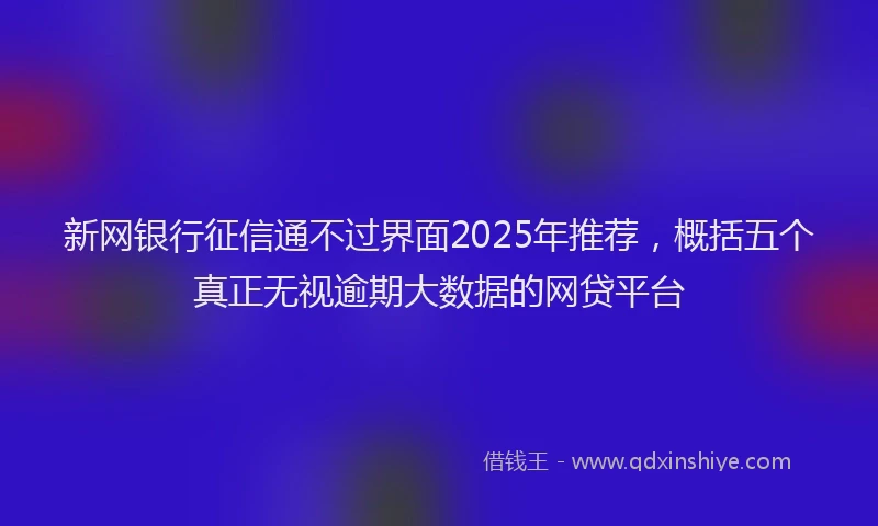 新网银行征信通不过界面2025年推荐，概括五个真正无视逾期大数据的网贷平台