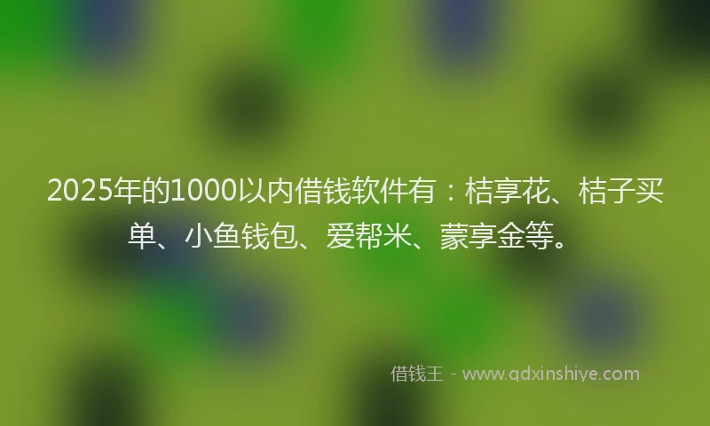 2025年的1000以内借钱软件有：桔享花、桔子买单、小鱼钱包、爱帮米、蒙享金等。