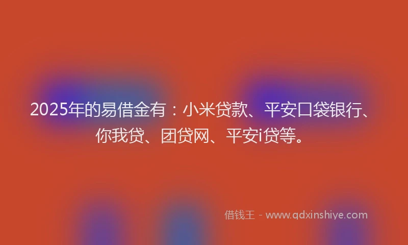 2025年的易借金有：小米贷款、平安口袋银行、你我贷、团贷网、平安i贷等。