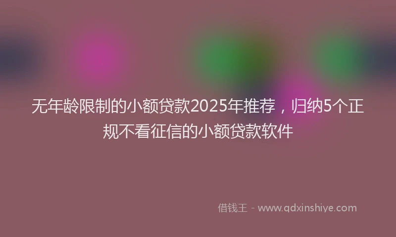 无年龄限制的小额贷款2025年推荐，归纳5个正规不看征信的小额贷款软件