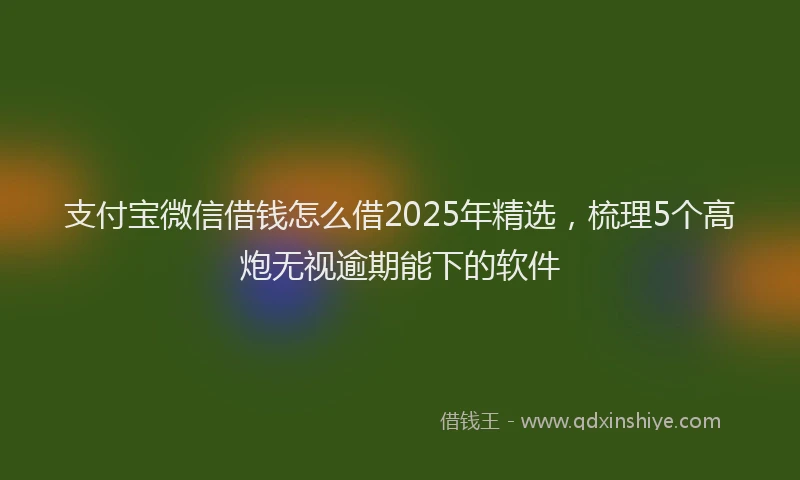 支付宝微信借钱怎么借2025年精选，梳理5个高炮无视逾期能下的软件