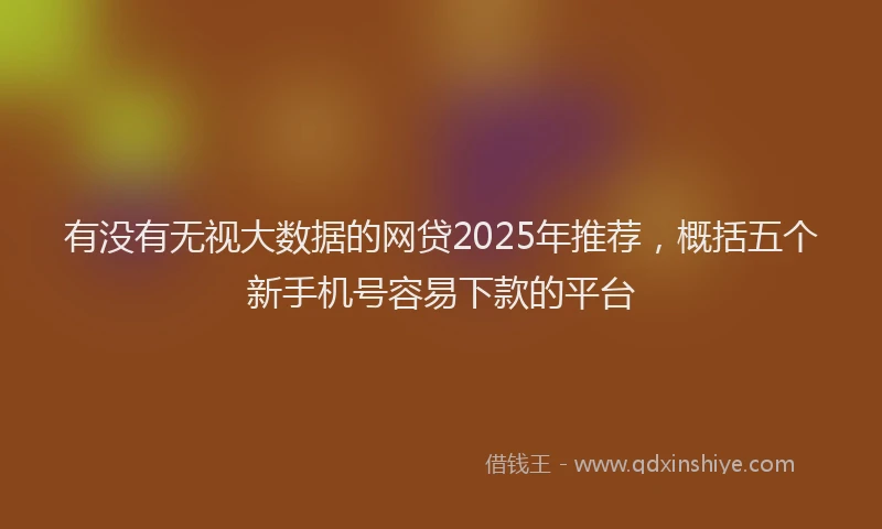 有没有无视大数据的网贷2025年推荐，概括五个新手机号容易下款的平台