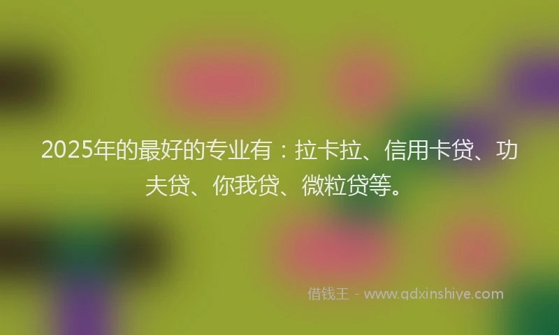 2025年的最好的专业有：拉卡拉、信用卡贷、功夫贷、你我贷、微粒贷等。