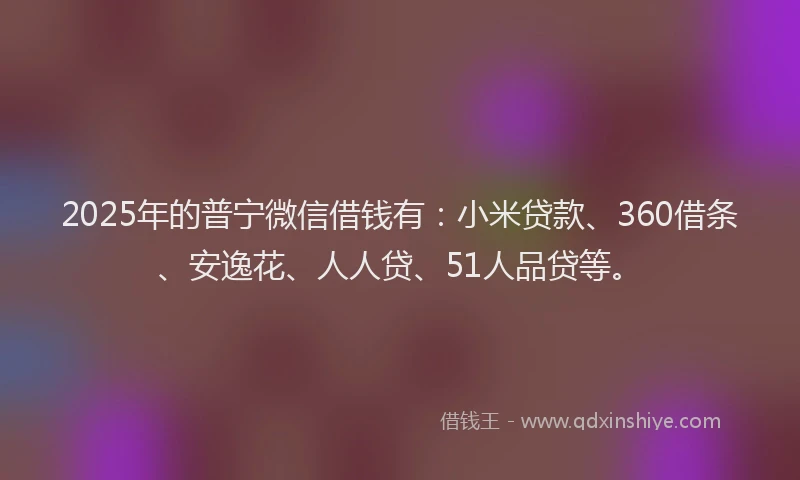 2025年的普宁微信借钱有：小米贷款、360借条、安逸花、人人贷、51人品贷等。