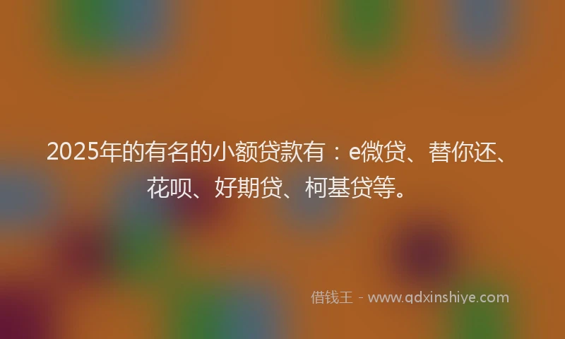2025年的有名的小额贷款有：e微贷、替你还、花呗、好期贷、柯基贷等。