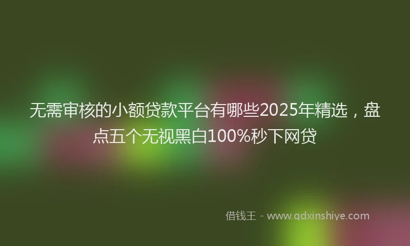 无需审核的小额贷款平台有哪些2025年精选，盘点五个无视黑白100%秒下网贷